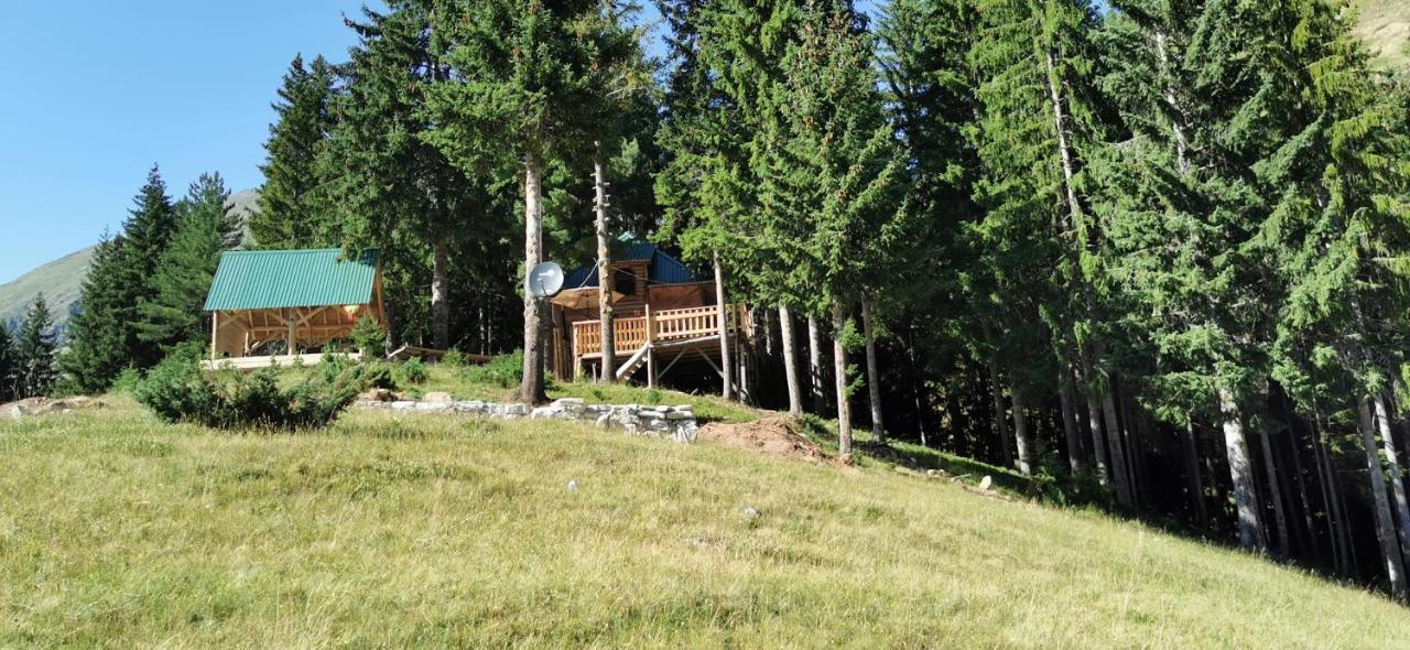 Pinetrees Lodge Plav Exterior foto