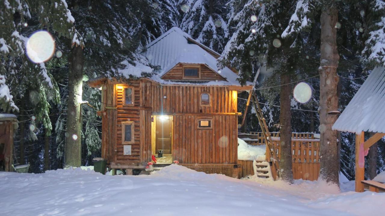 Pinetrees Lodge Plav Exterior foto